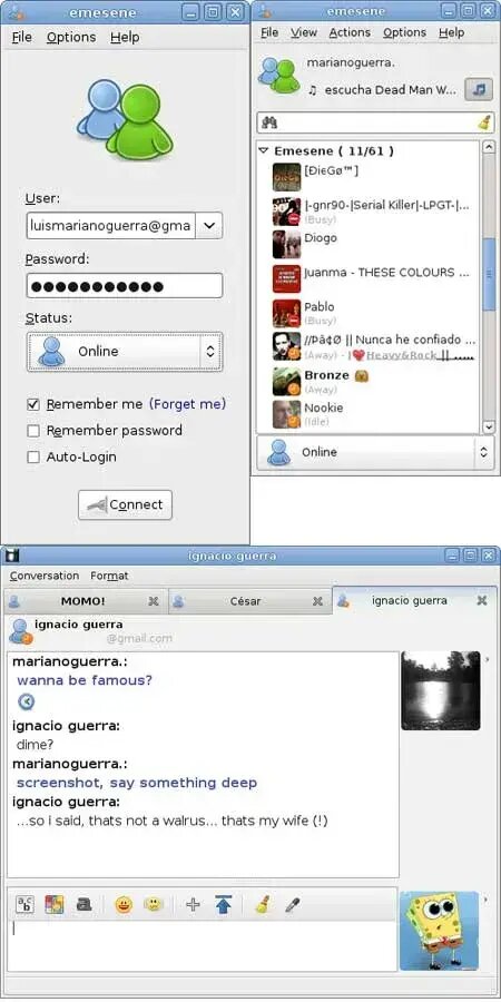 features as MSN Messenger.