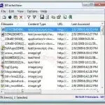 IE Cache View - Internet Explorer Cache Viewer